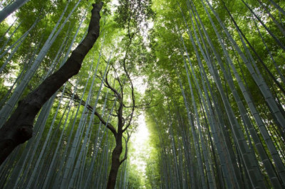 toko keranda mayat tigaraksa telp 0812 9869 9940