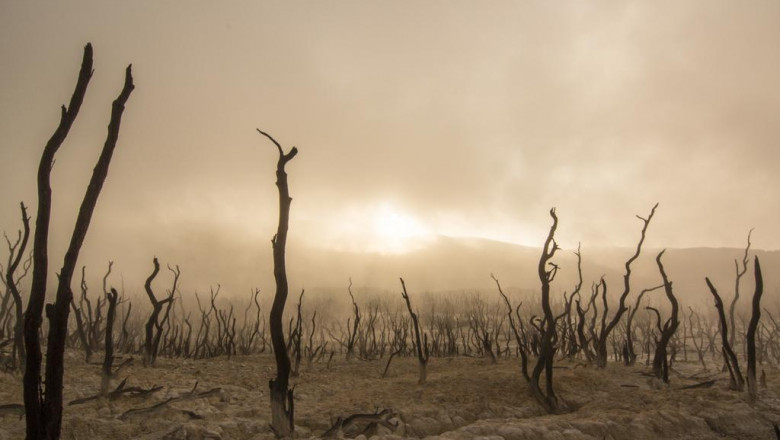 video marketing for lawyers does your production company blog about your video