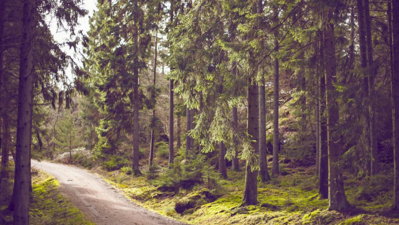 consejos para sacarle maximo partido a la reforma de tu casa