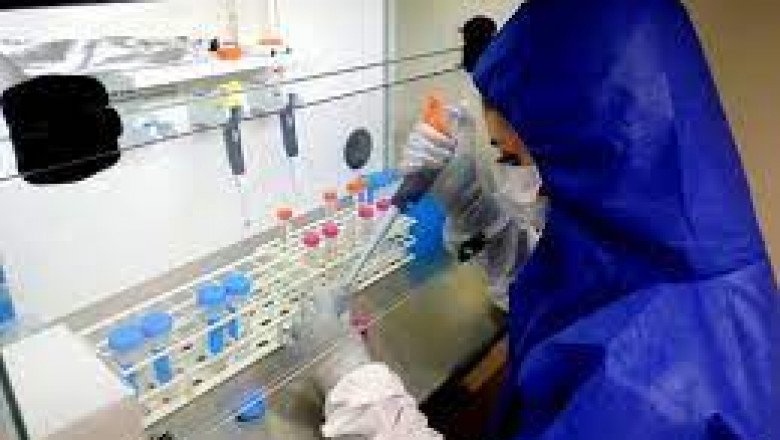 Market Study on Toxicology Laboratories Market Revenue, Key Opportunities, Latest Rising Trends, Industry Growth, Future Demand Report 2028