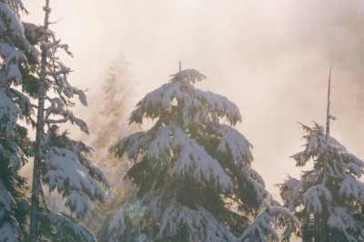 20 resources thatll make you better at best mobile sportsbooks