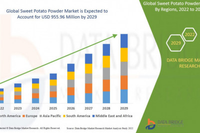 Global Sweet Potato Powder Market Size, Share, Growth, Trends, Analysis 2022