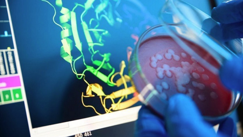 Protein Detection and Quantification Market Growth by Forecast 2022 - 2028 | Research Informatic