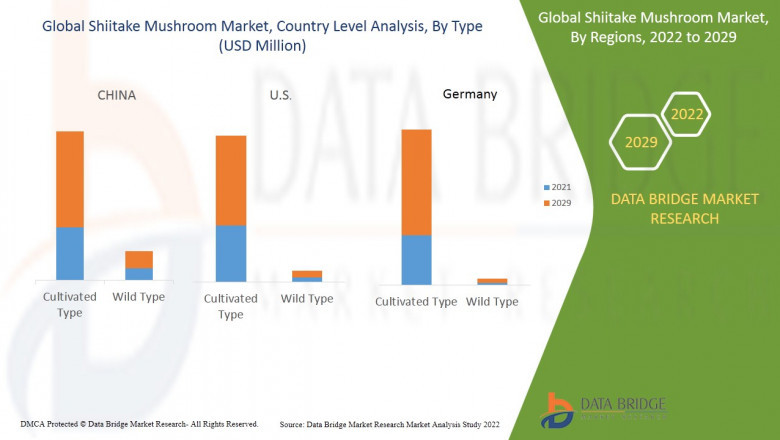 Global Shiitake Mushroom Market by Size, Shares, Trends, Forecast 2022 -2029
