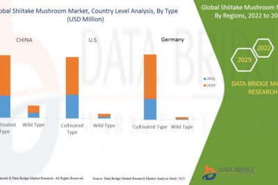 Global Shiitake Mushroom Market by Size, Shares, Trends, Forecast 2022 -2029