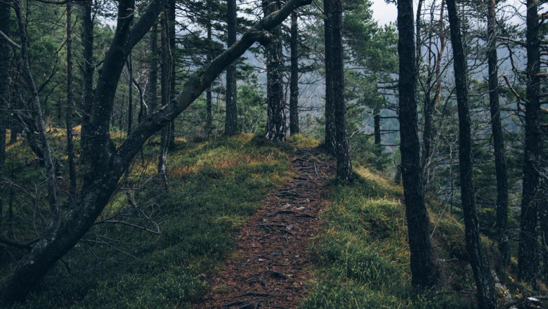 10 things you learned in preschool thatll help you with raspberry weight loss supplement