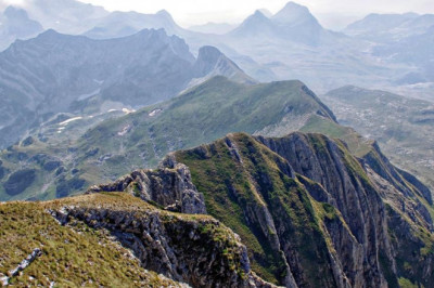 4 easy facts about safety insurance company described