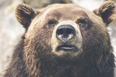 5 things everyone gets wrong about custom team bowling shirts cheap