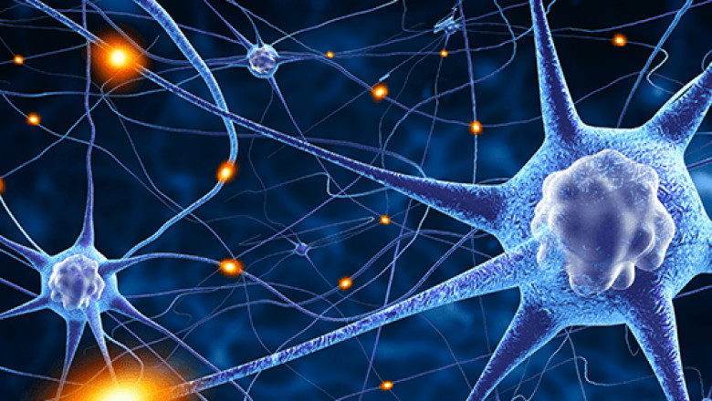 Dr. Jeffrey Piccirillo | Regenerative Medicine Expert