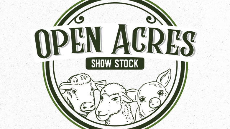 Vintage Logo Design Inspiration for Graphic Designers