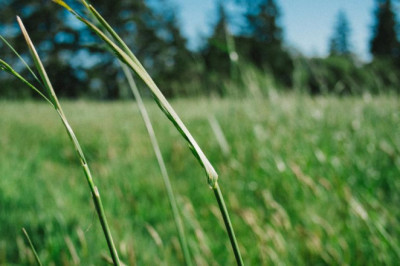 12 steps to finding the perfect anyangculjang