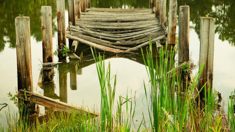 30 inspirational quotes about koinkajino