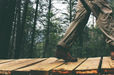 how to explain detoxification to your boss