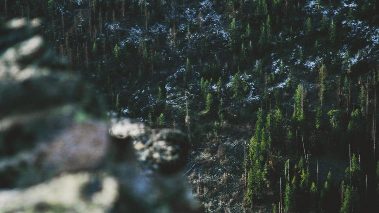 safeguard your cabin with off the grid home security