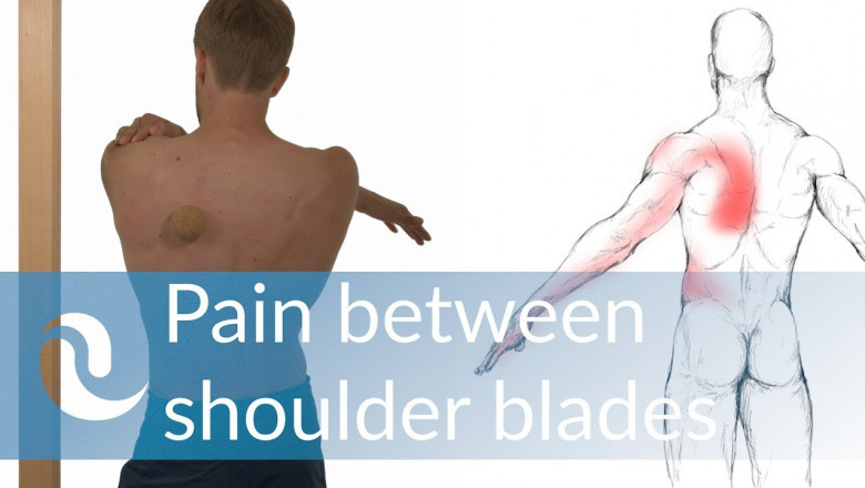 Pain Between Shoulder Blades Can Be Treated by a Chiropractor