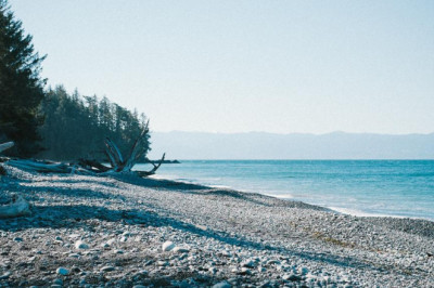 what the best cleansing kidneys and liver pros do and you should too