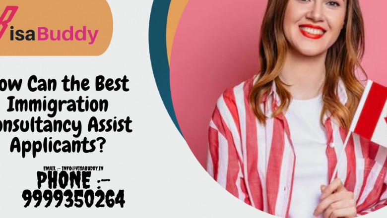 How Can the Best Immigration Consultancy Assist Applicants?