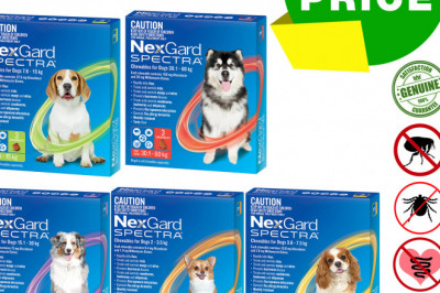NEXGARD SPECTRA for Dogs 3 Chews Flea Worm Treatment