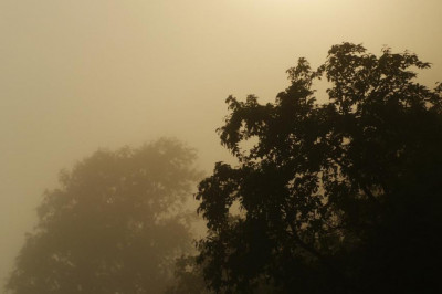 tax prep work program