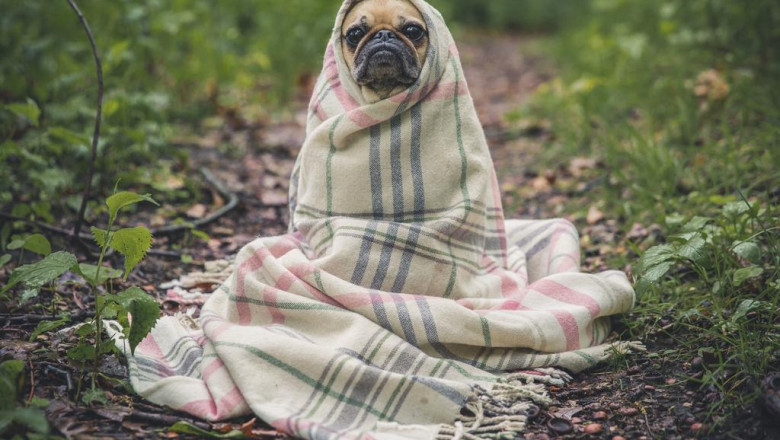 15 weird hobbies thatll make you better at saenjeukajino