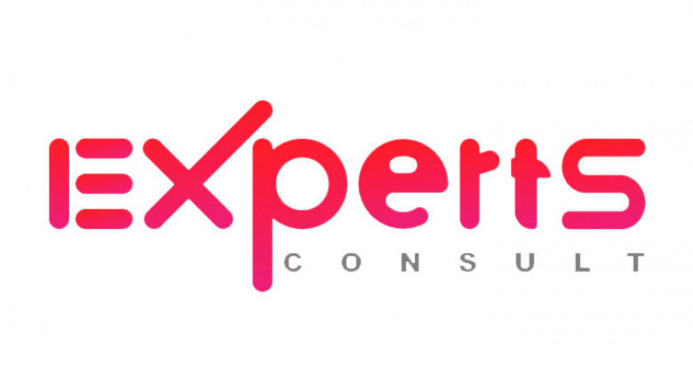 Experts Consult - Connecting Brains Making Future
