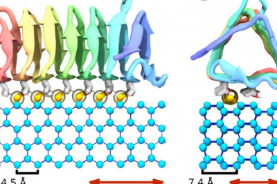 In-Depth Analysis of Antifreeze Proteins Market, Forecast 2021-2028