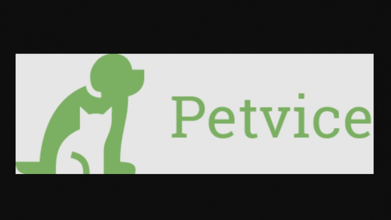 The best Locations Online For Pet Tips