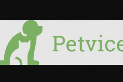 The best Locations Online For Pet Tips