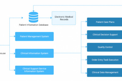 Why You Should Invest in a Hospital Management System