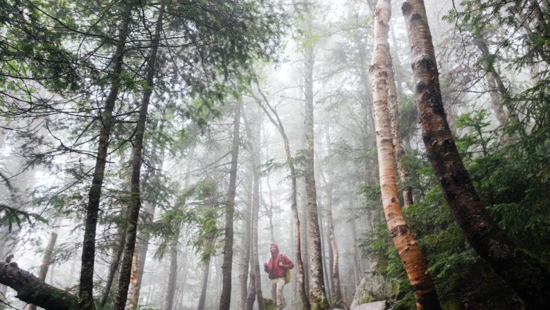 bitcoin news recent updates price and analysis