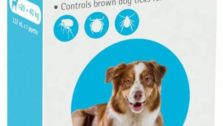BRAVECTO Spot On For Dogs 20 to 40 Kg Blue Pack 1 Pipette