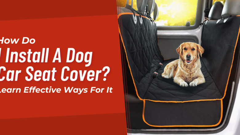 How Do I Install A Dog Car Seat Cover?