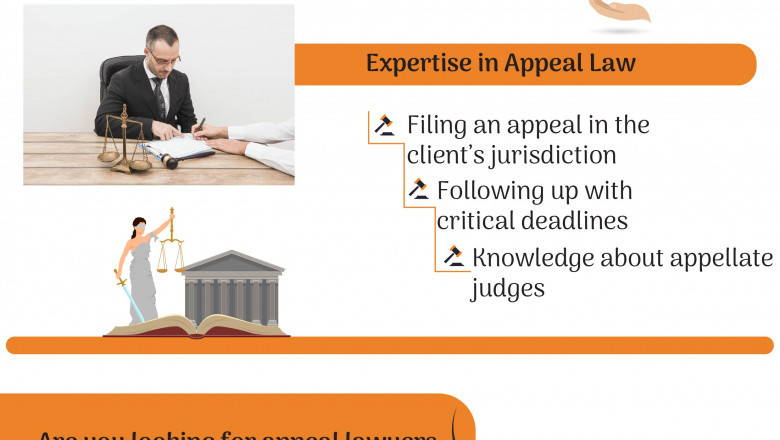 Infographics: Why Hire an Appeal Lawyer?