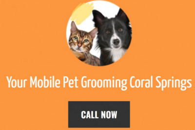 Pet Grooming Desires - Why Grooming Is essential for Pets?
