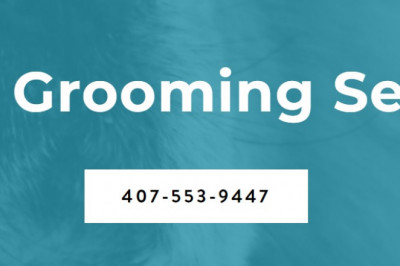 Pet Grooming Is More than a Minor Luxury