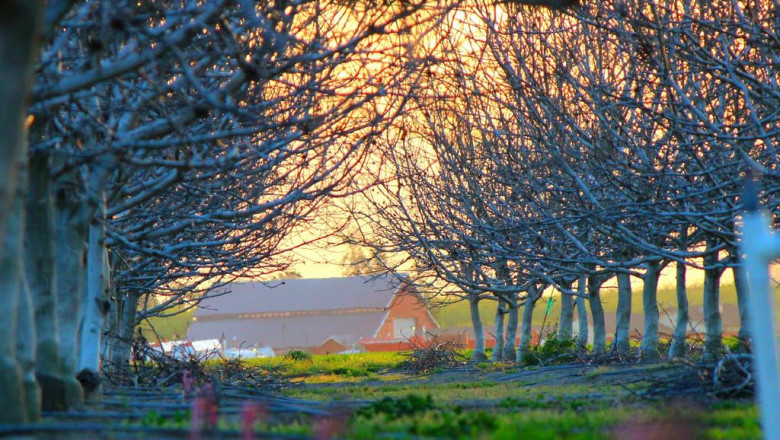 shuttle from hotel to airport zagreb croatia