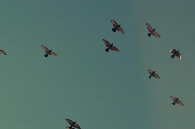 the 12 best kabbalah meditation accounts to follow on twitter