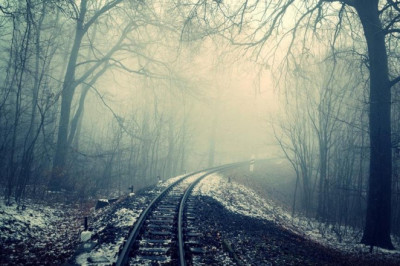 the most influential people in the kidney cleansing industry and their celebrity dopplegangers