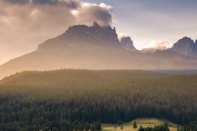 think youre cut out for doing detoxifying take this quiz