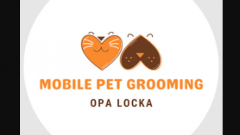 Why Pet Grooming is vital