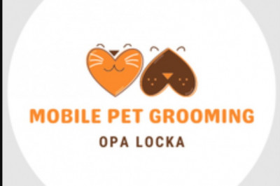 Why Pet Grooming is vital
