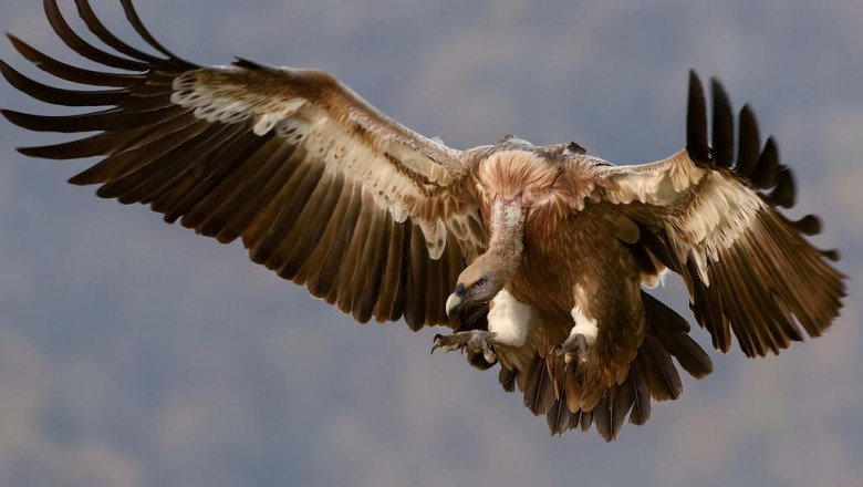 16 mustfollow facebook pages for tom ford sunglasses marketers