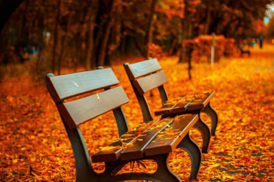 a biased view of ford mustang car insurance cost cheap quotes 2022