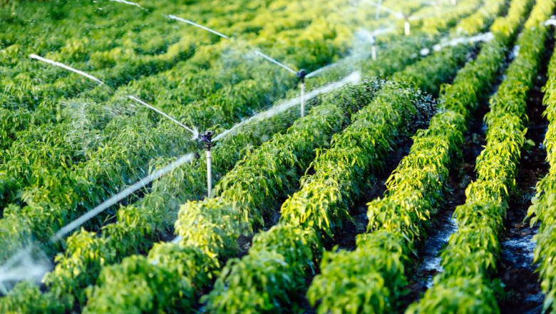 Global Micro Irrigation System Market expected to expand at a CAGR of more than 9% by 2027