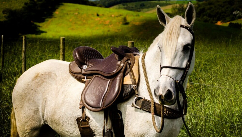How To Make More Parts Of A Saddle By Doing Less