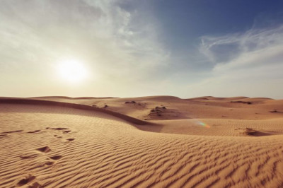 Searching for an incredible arrangement on a Dubai Desert Safari?