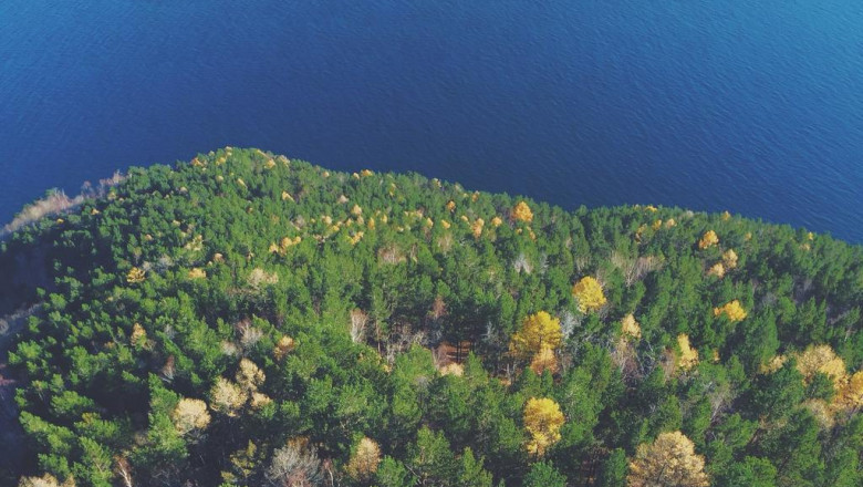 significance of biodiversity quickly emphasized in brandnew wwf report
