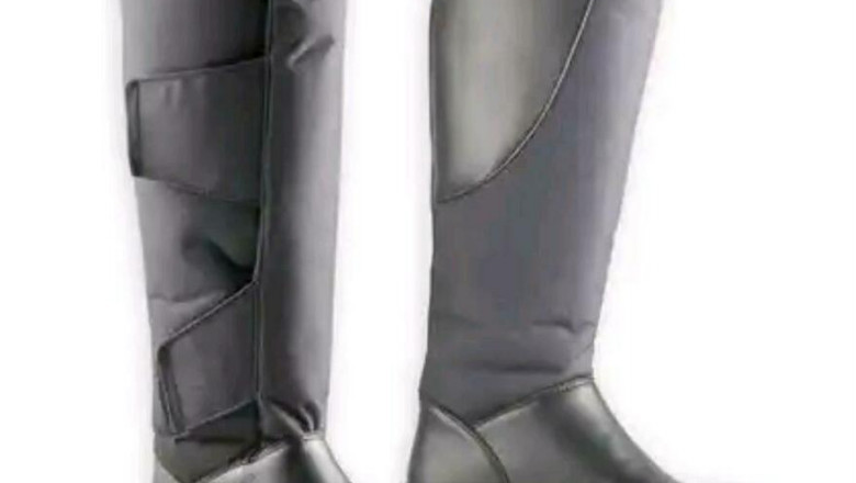 Was sind Pferdezäume?