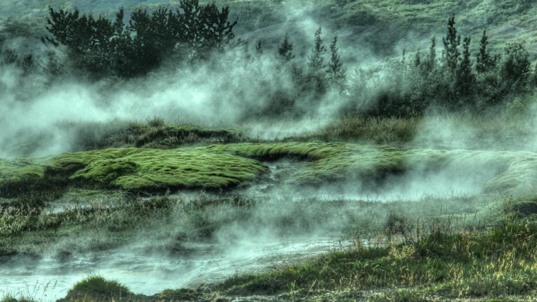 harvard business review