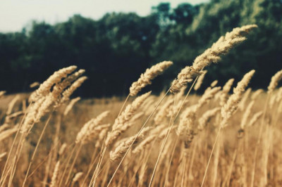 perusahaan keranda tarogong kidul mayat wa 0812 9869 9940